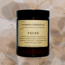 Load image into Gallery viewer, Pause