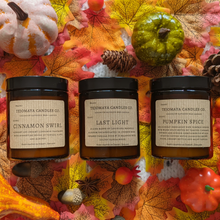 Load image into Gallery viewer, Last light