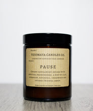 Load image into Gallery viewer, Pause